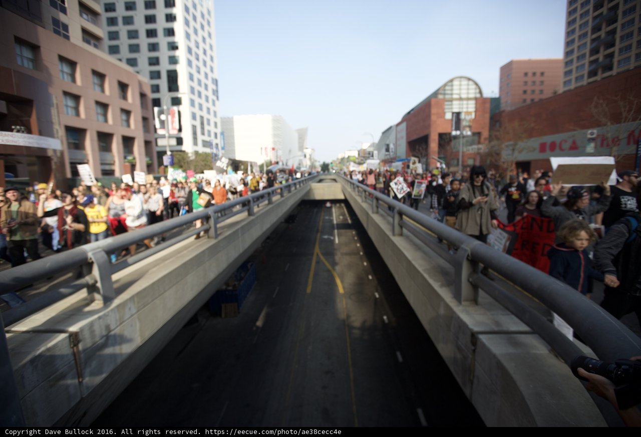 Metropolis Bridge Crowd