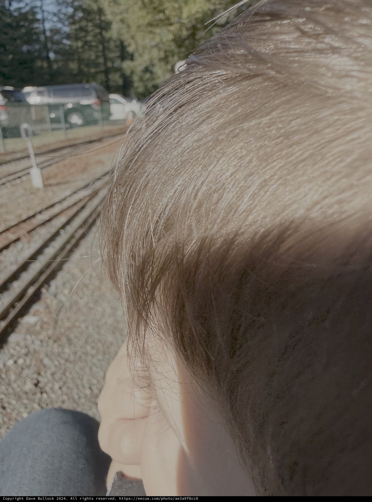Close-up Portrait with Windblown Hair Outdoors