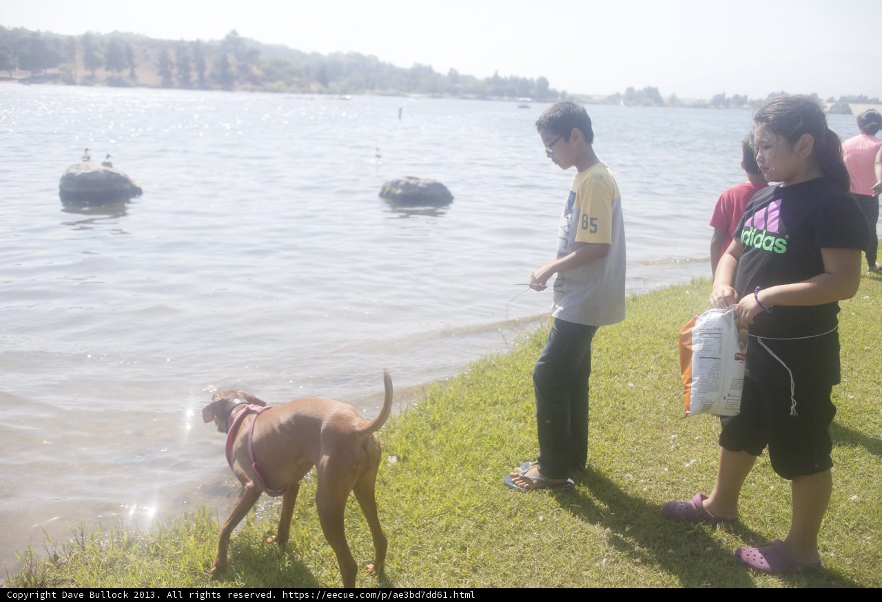Fun in the Sun at the Lake
