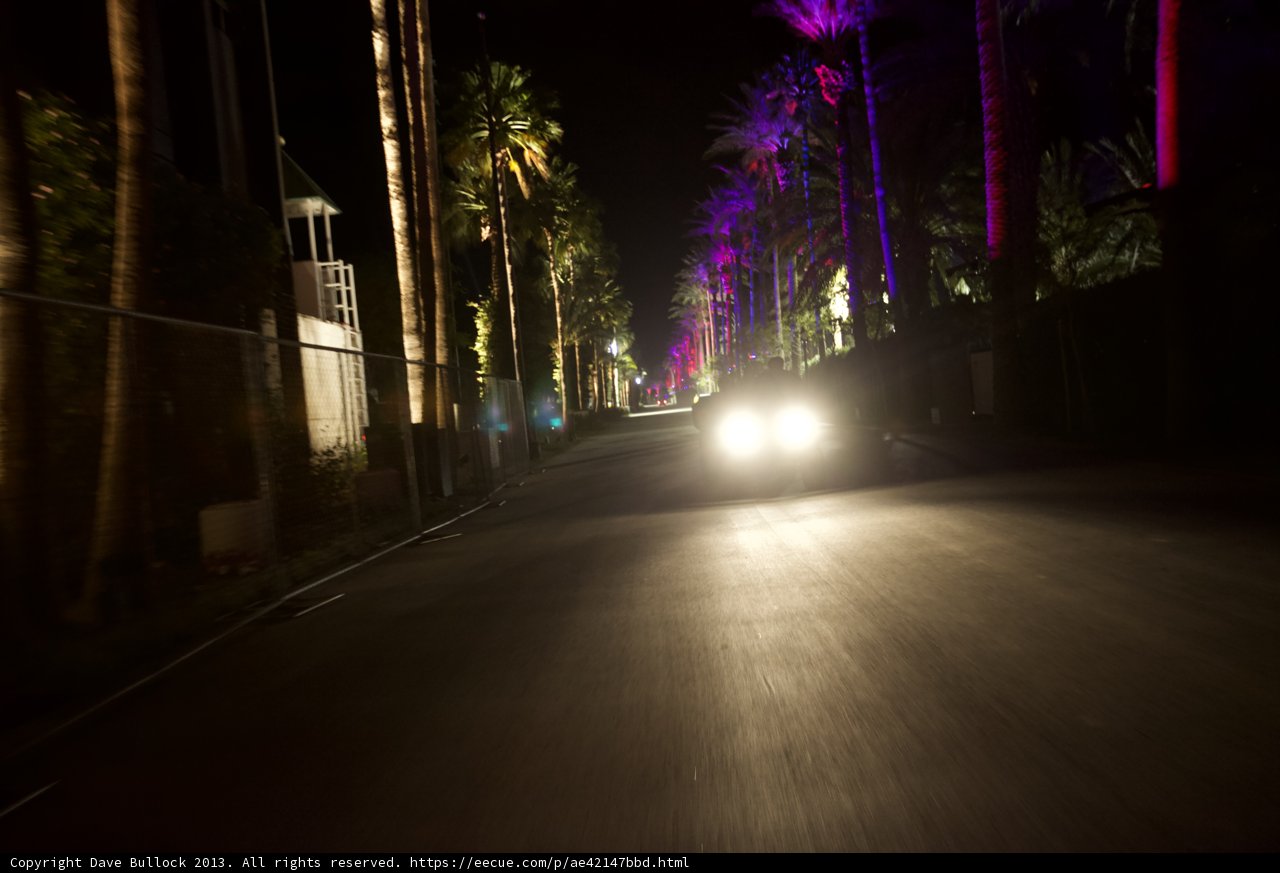 Night Drive Through Urban Palm Trees