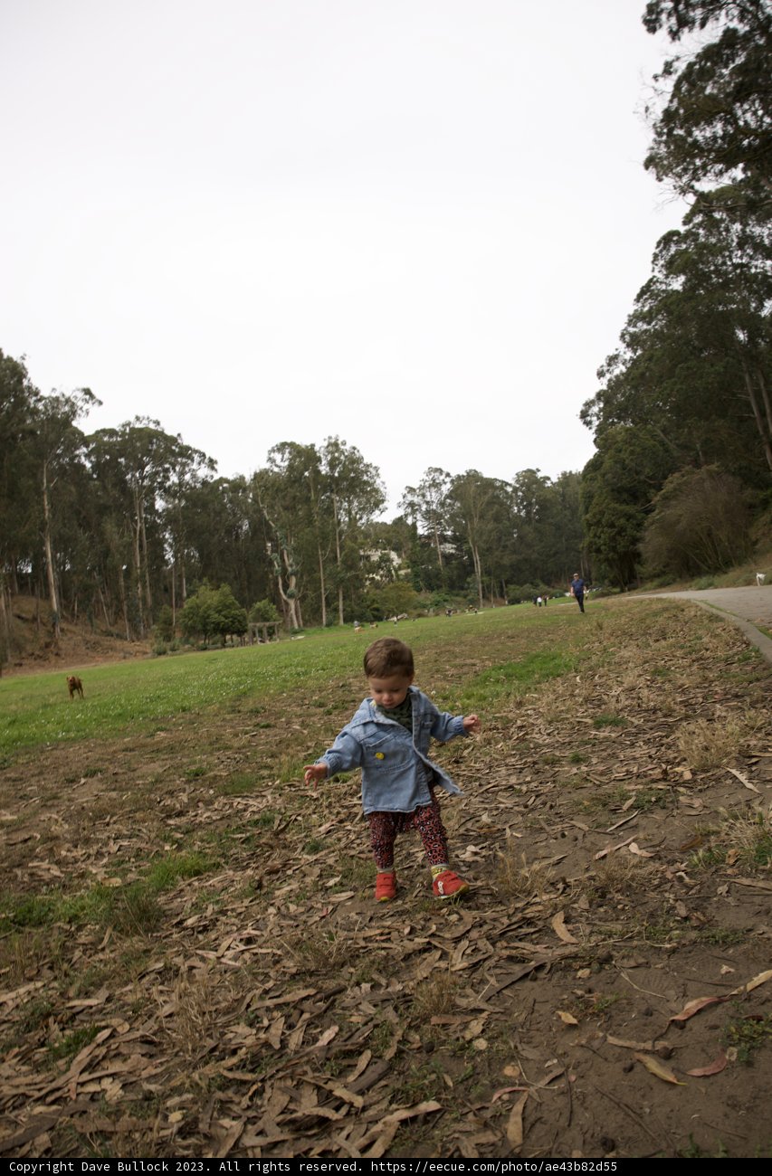“Autumn Frolic: Wesley’s Joyful Jaunt”
