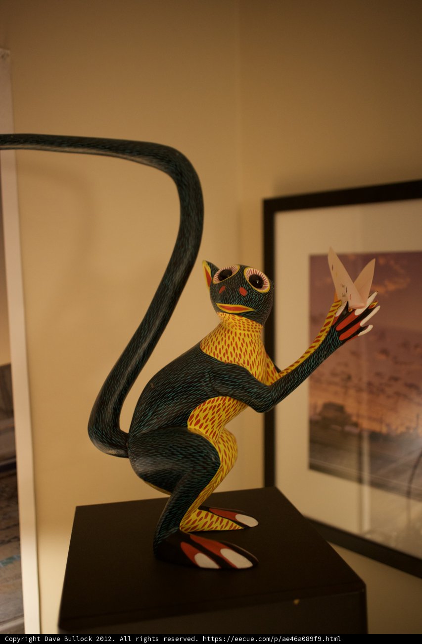 A Primate's Treasure