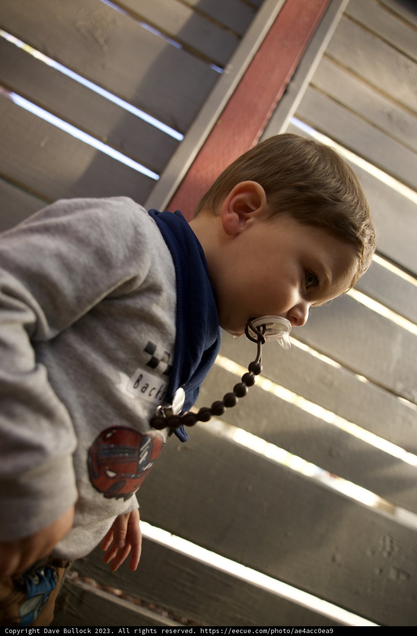 A Glance into Childhood: Wesley in Downtown Sonoma