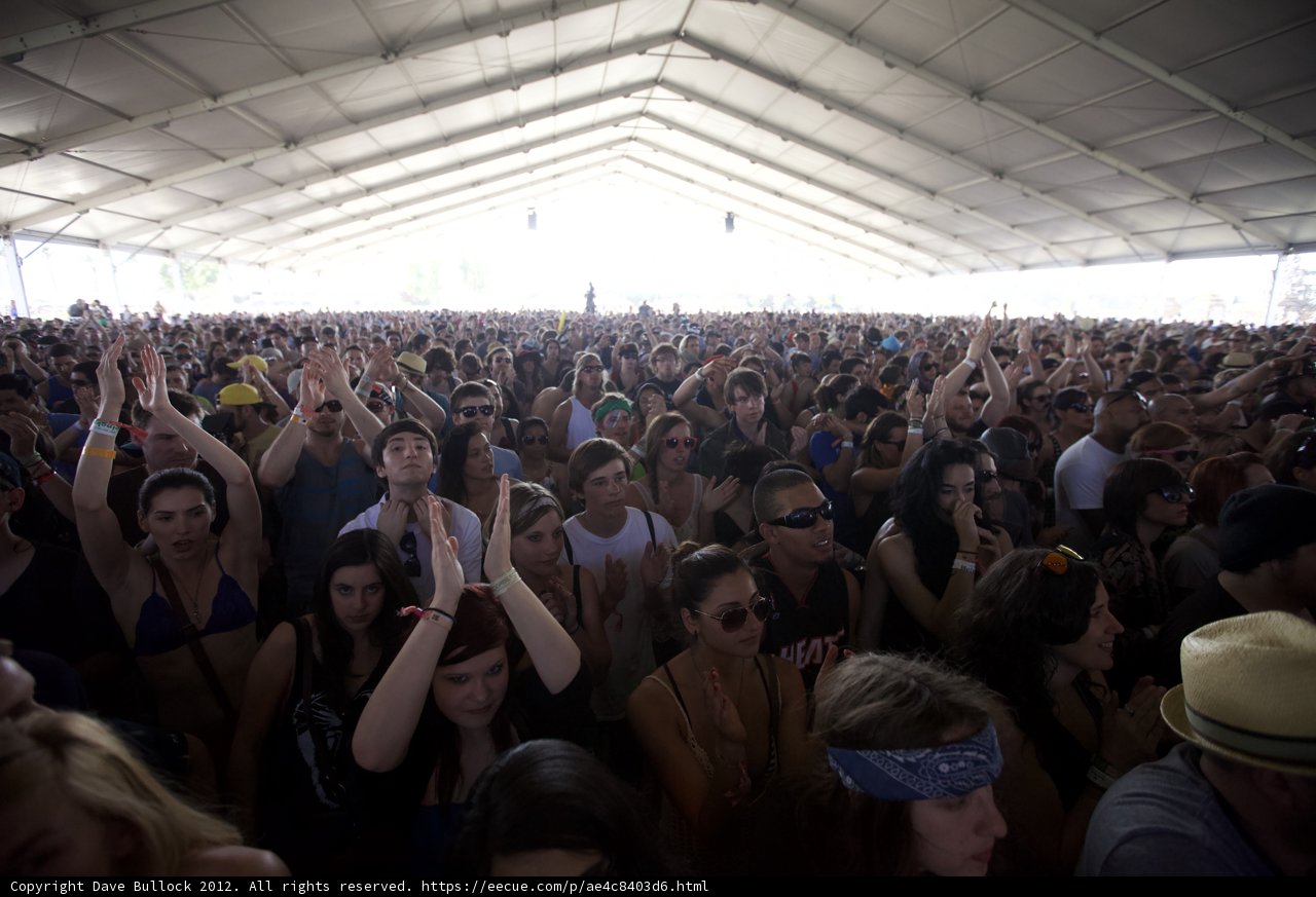 Coachella Crowd Goes Wild