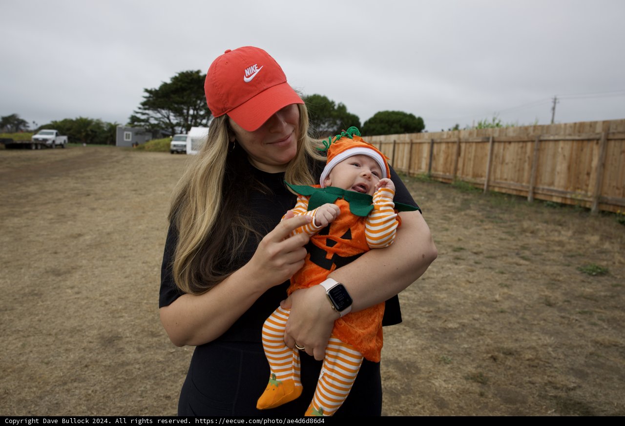 Pumpkin Patch Adventures