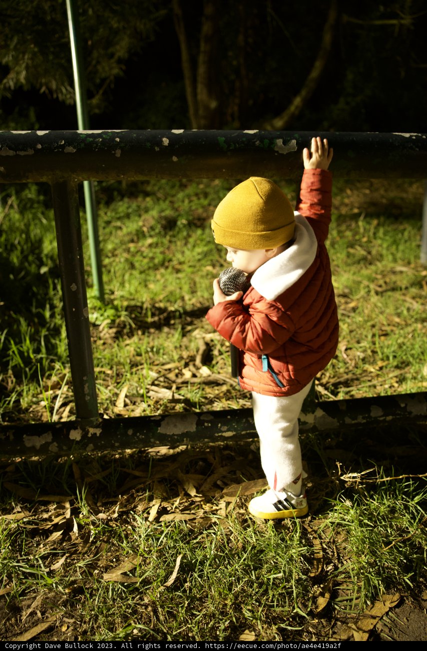 Fearless Adventurer at Halloween Fest 2023