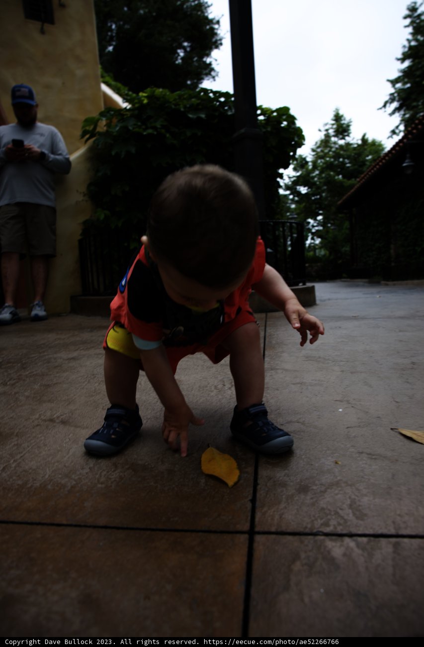 Banana Peel Adventures at Disneyland