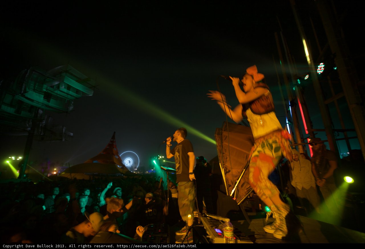 Spotlight on the Crowd