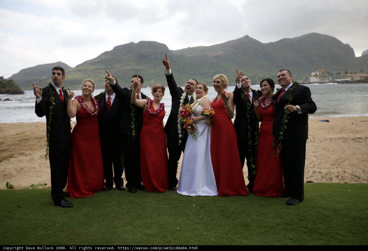 Hawaiian Beach Wedding