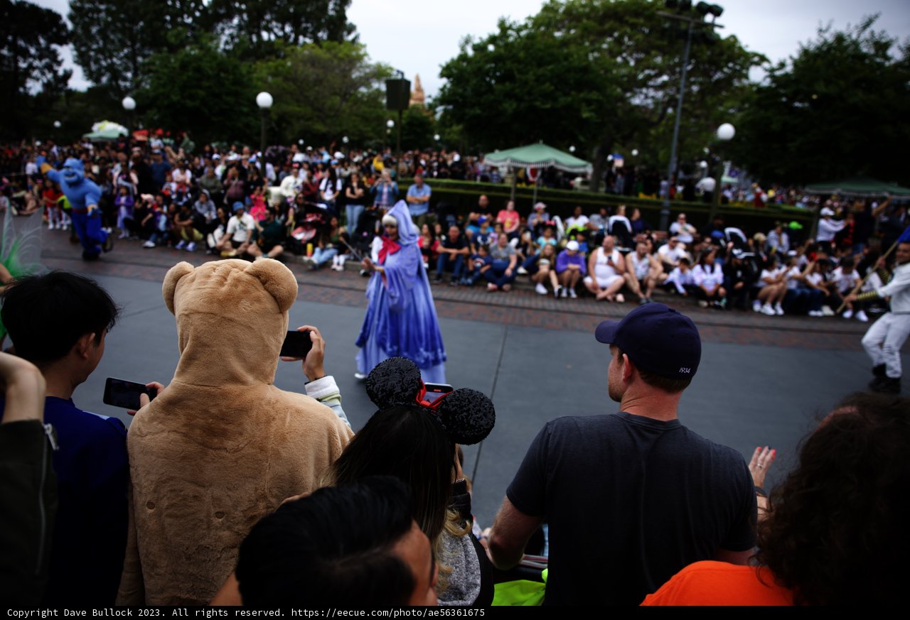 A Roaring Parade Experience at Disneyland