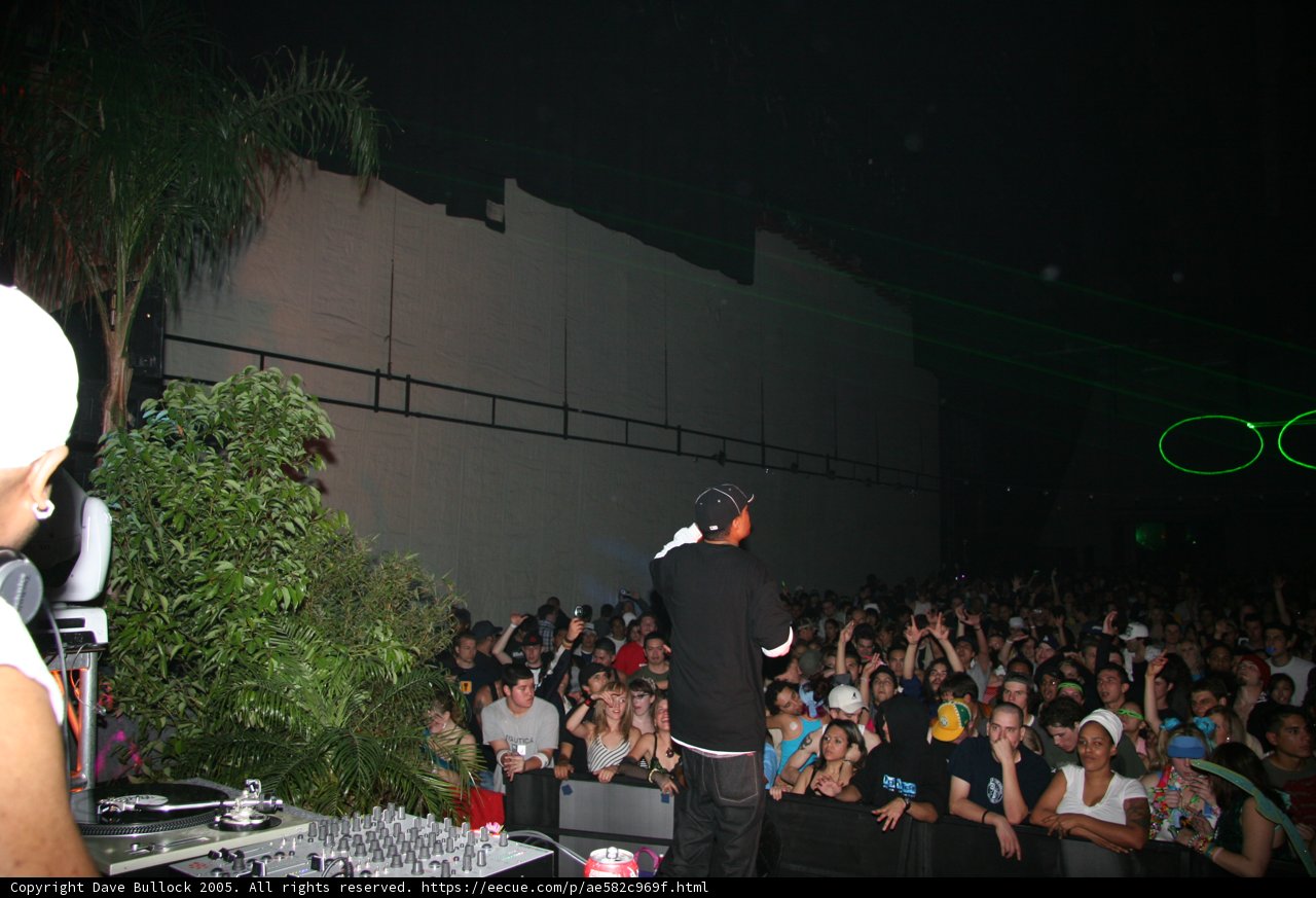 DJ's Nightlife Concert Under the Night Sky