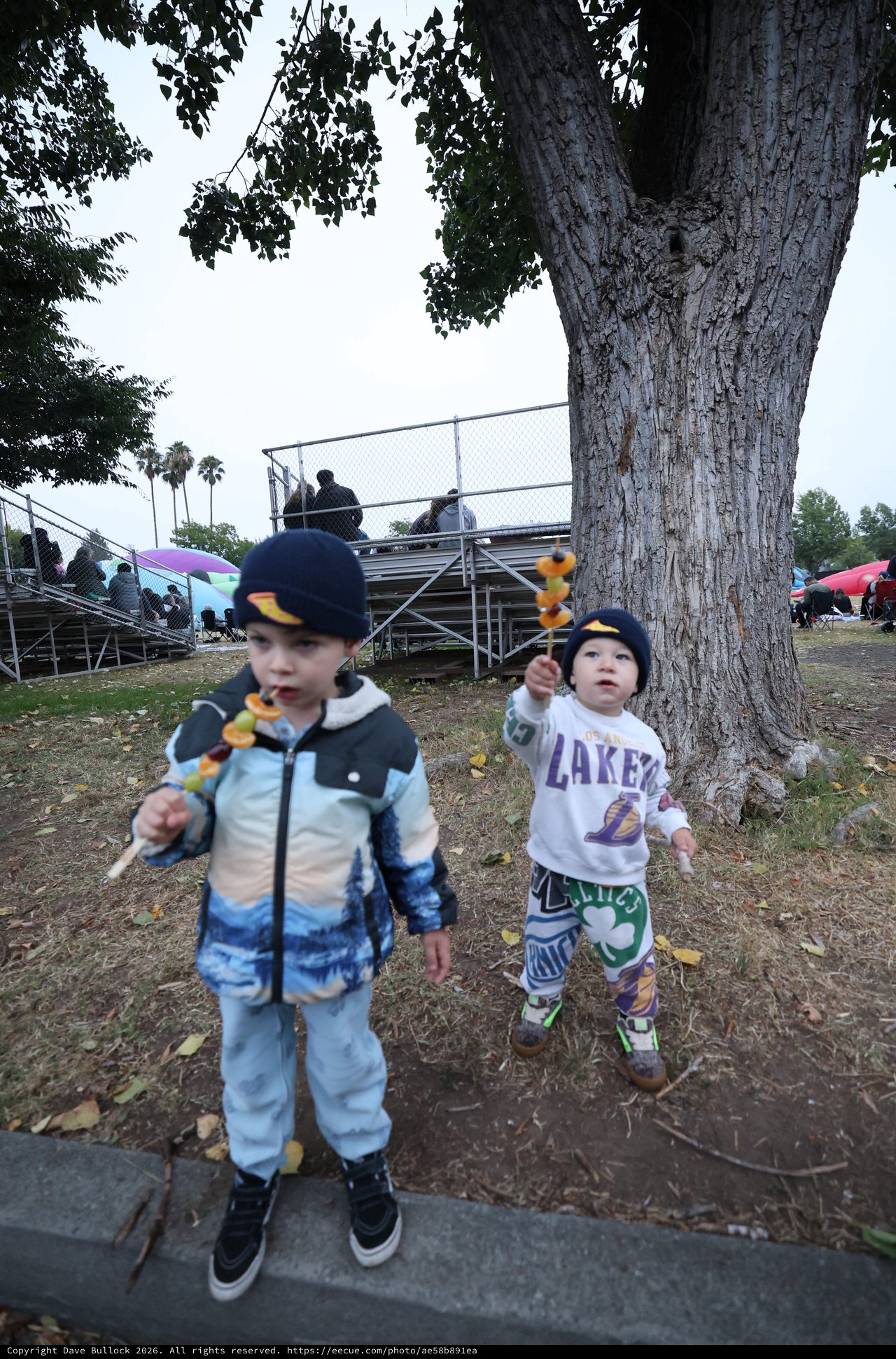 Two Toddlers Enjoying Fruit Skewers at Balloon Festival