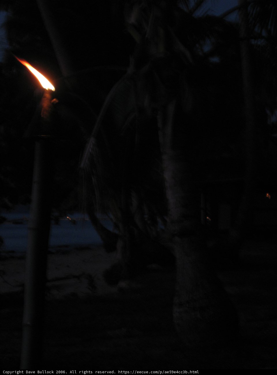 Beach Bonfire Beauty