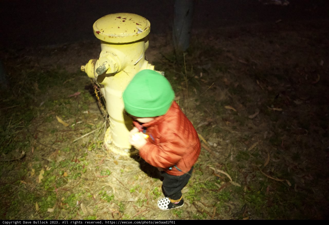 Tiny Adventurer meets Giant Hydrant