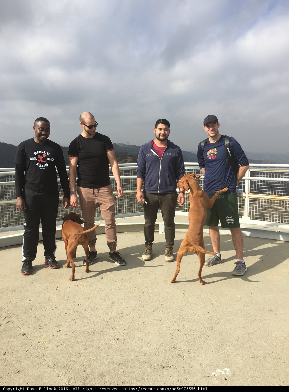 Four Friends with a Furry Companion