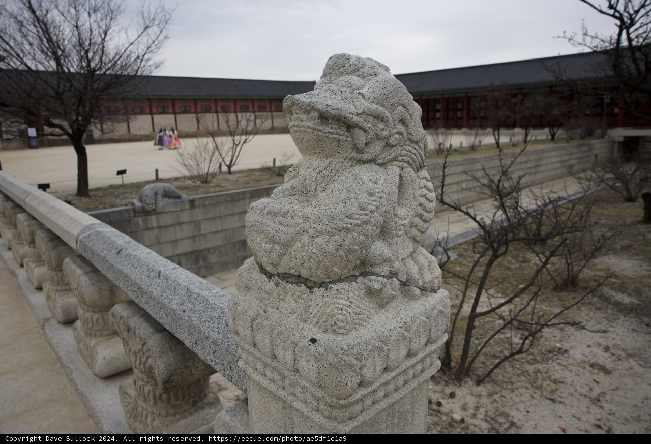 Guardian of Tradition: Stone Lion – Gyeongju, South Korea, 2024