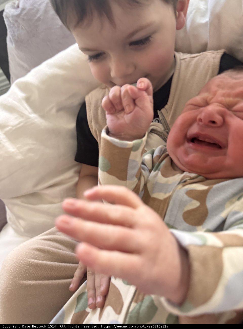 Sibling Comfort