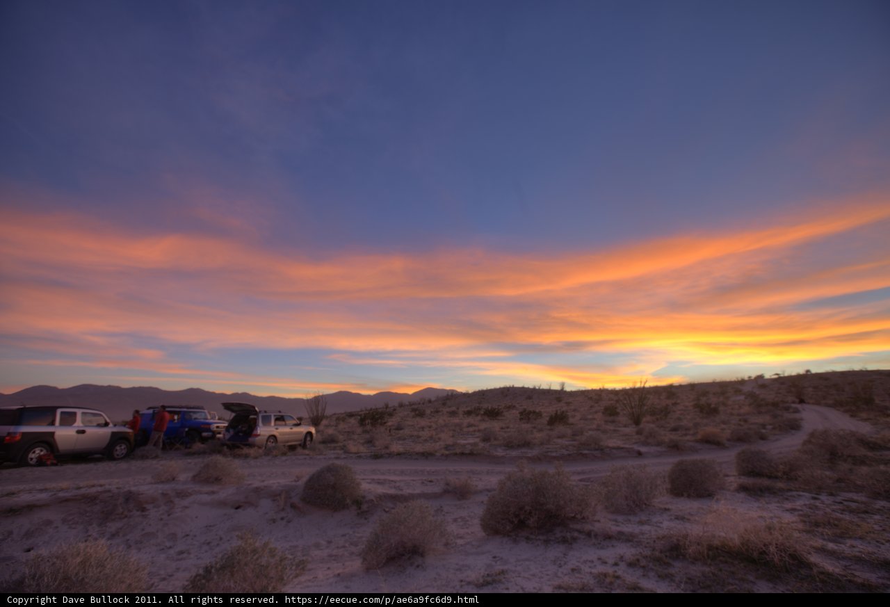 Golden Hour in Joshua Tree