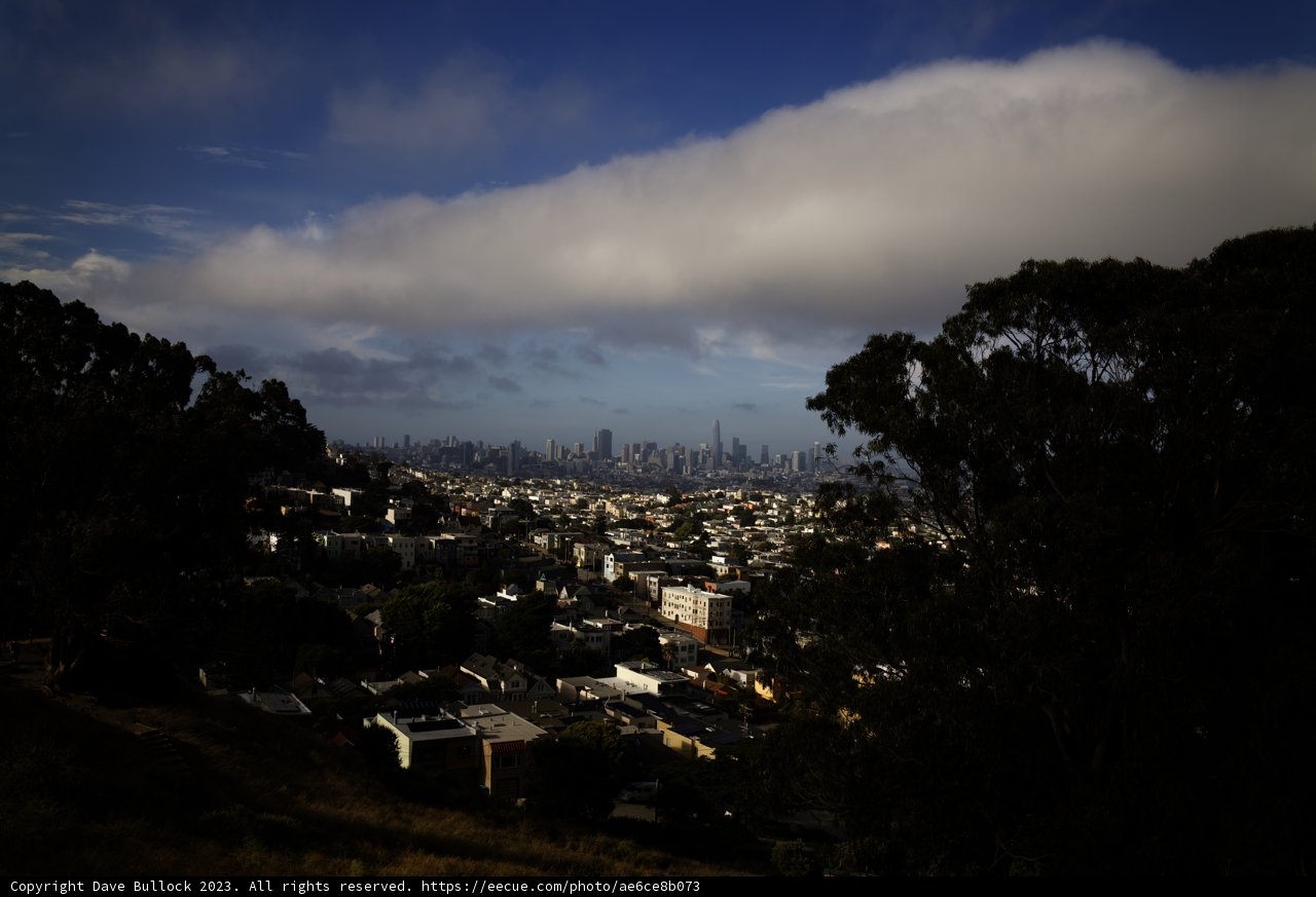 San Francisco Hillside Panorama