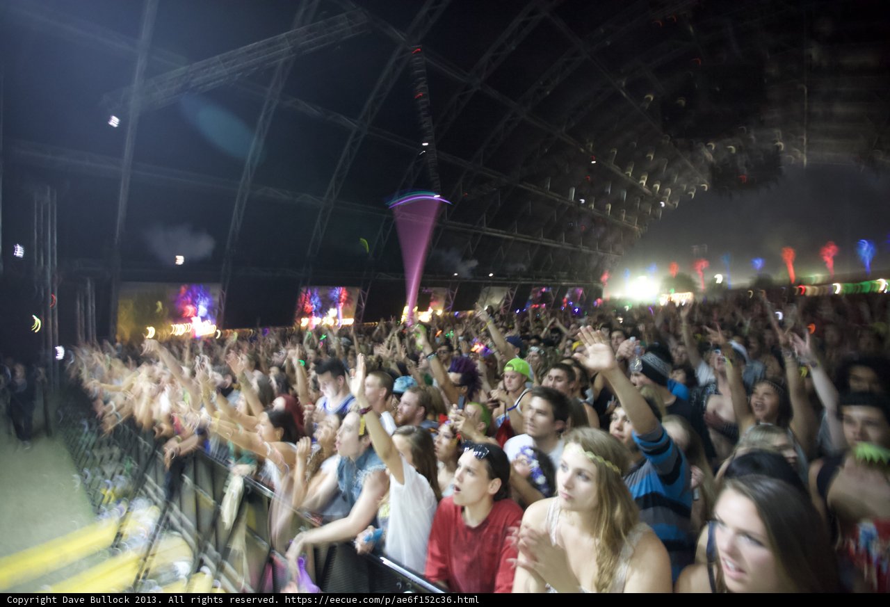 Energized Crowd at Coachella Music Festival