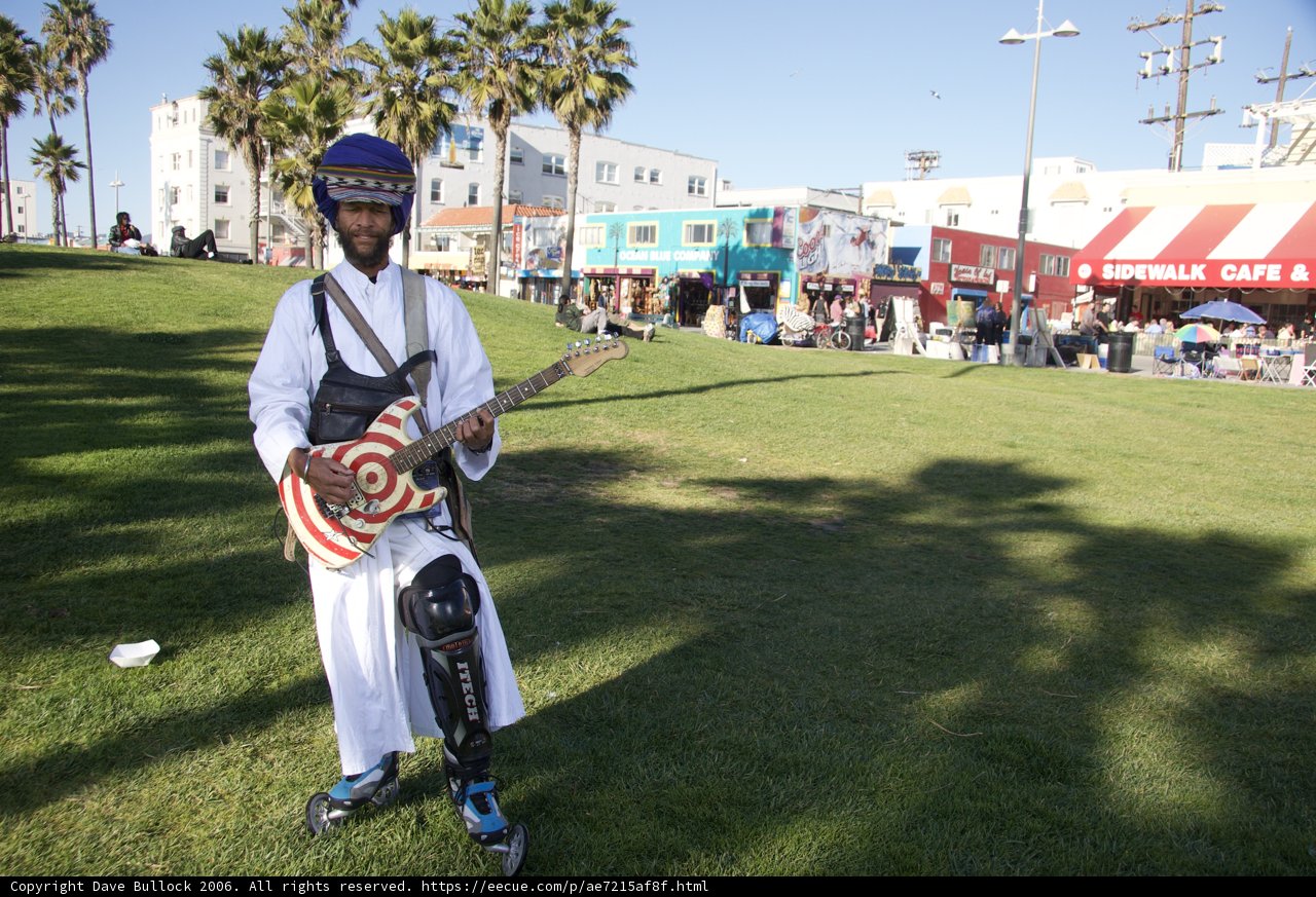 Guitar Man on the Grass