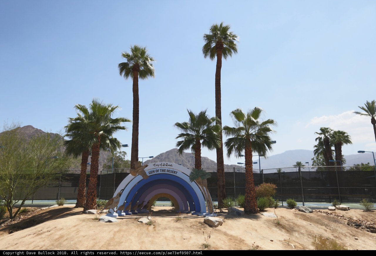 Rainbow Oasis in the Desert
