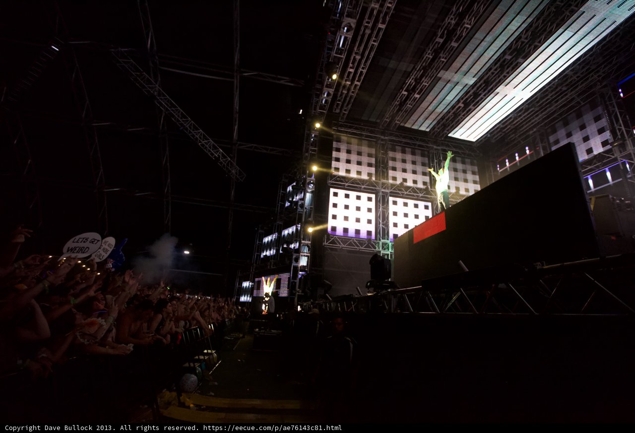 Coachella Nights
