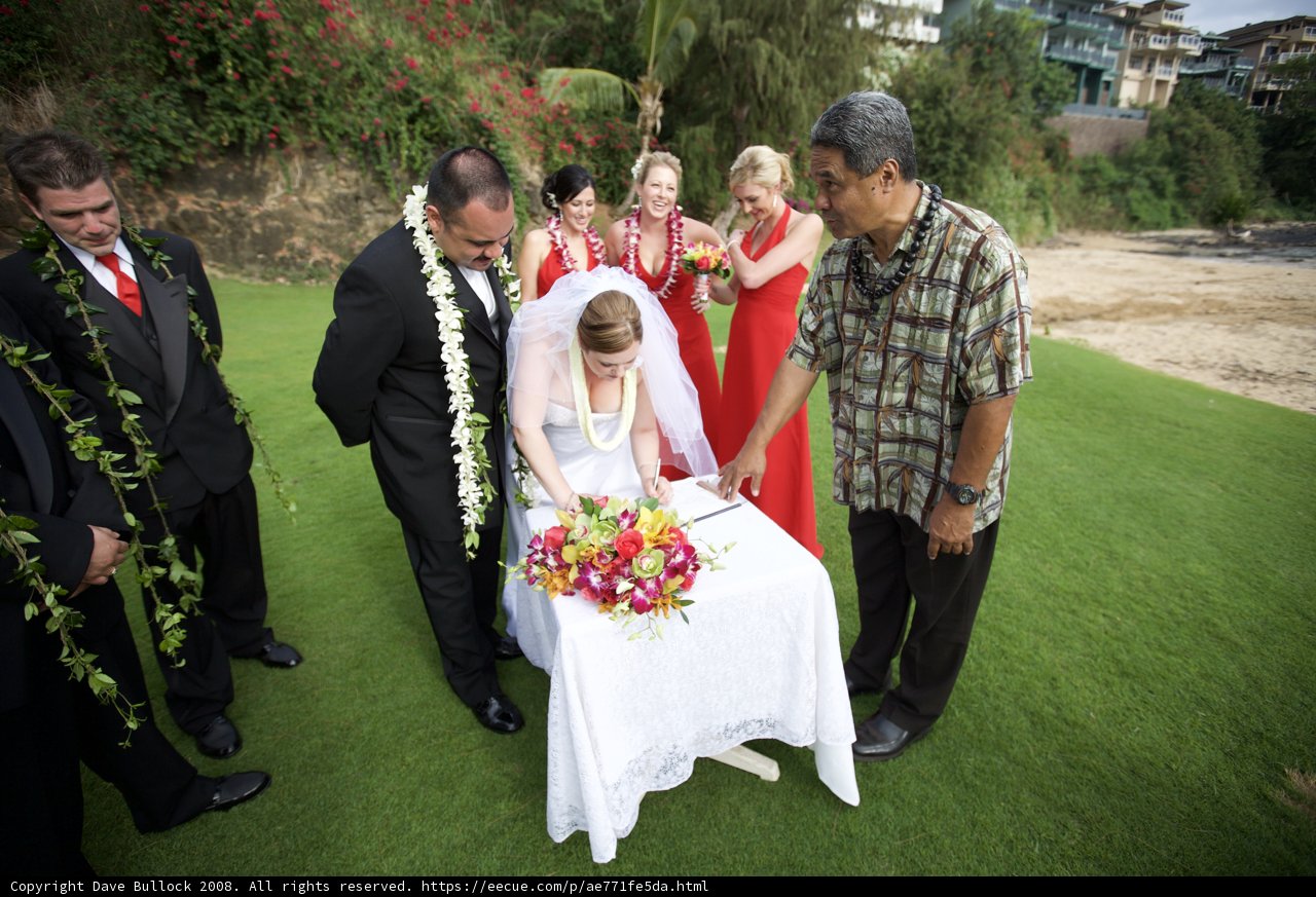 A Romantic Hawaiian Wedding in the Grass