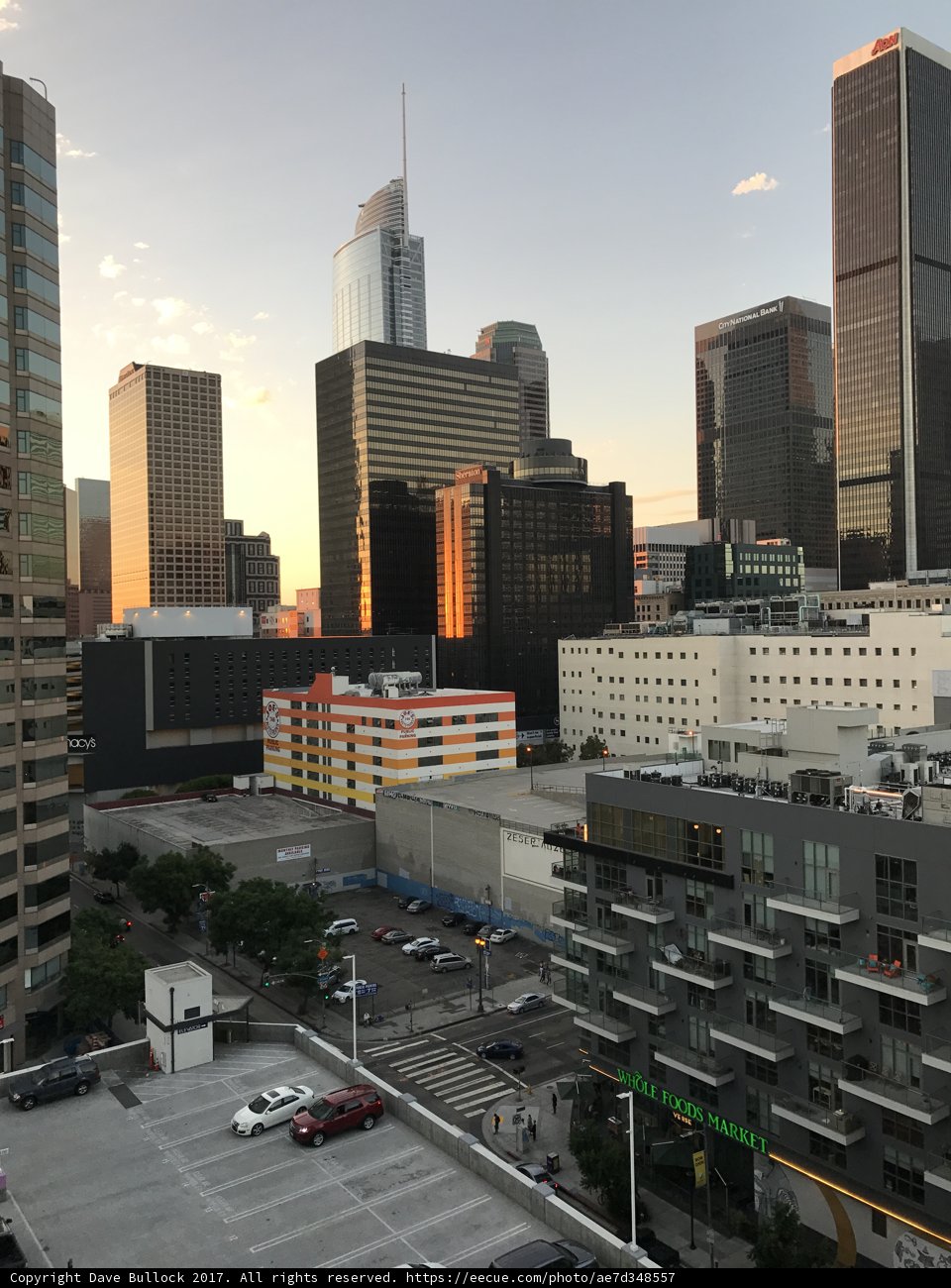 Skyline of the Urban Metropolis