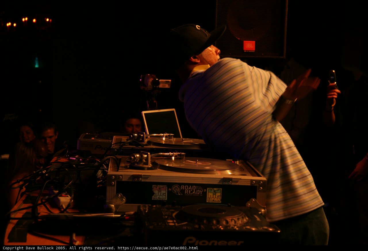 Party DJ gets the crowd moving