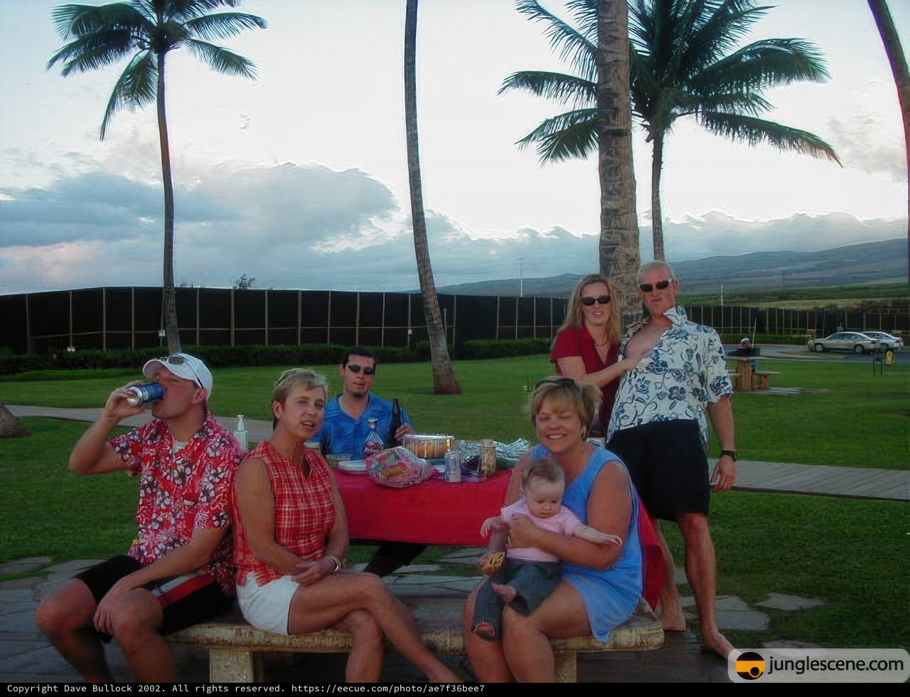 Summer Gathering under the Palm Trees