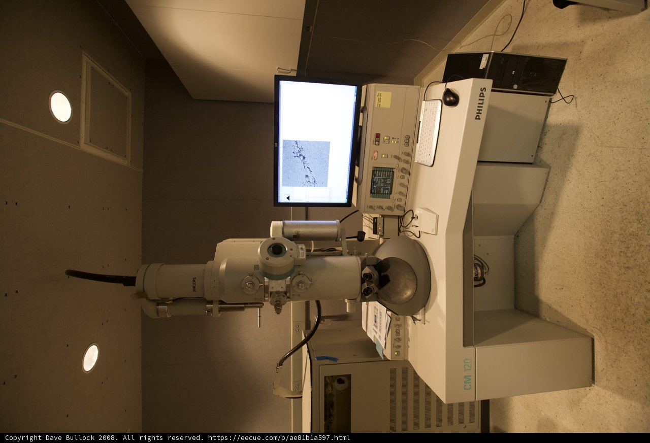 Microscopic View