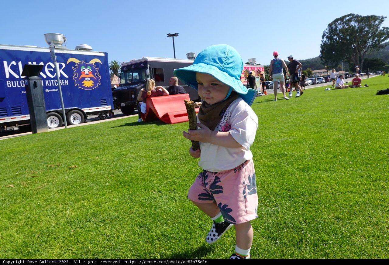 A Day at the Park: Childhood, Hotdogs and Summer Fun