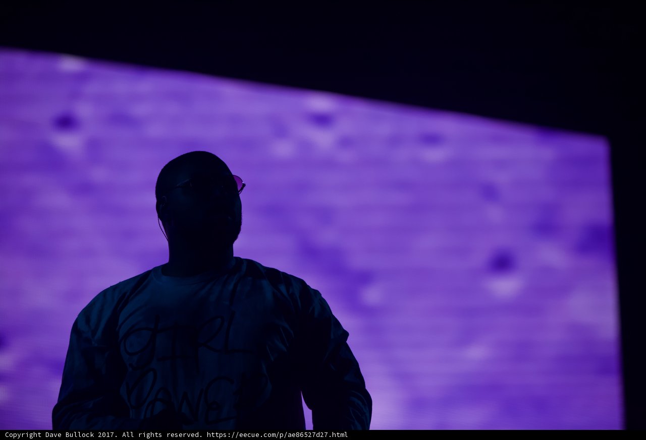 Purple Silhouette