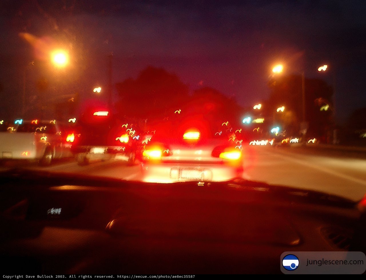 Night Drive