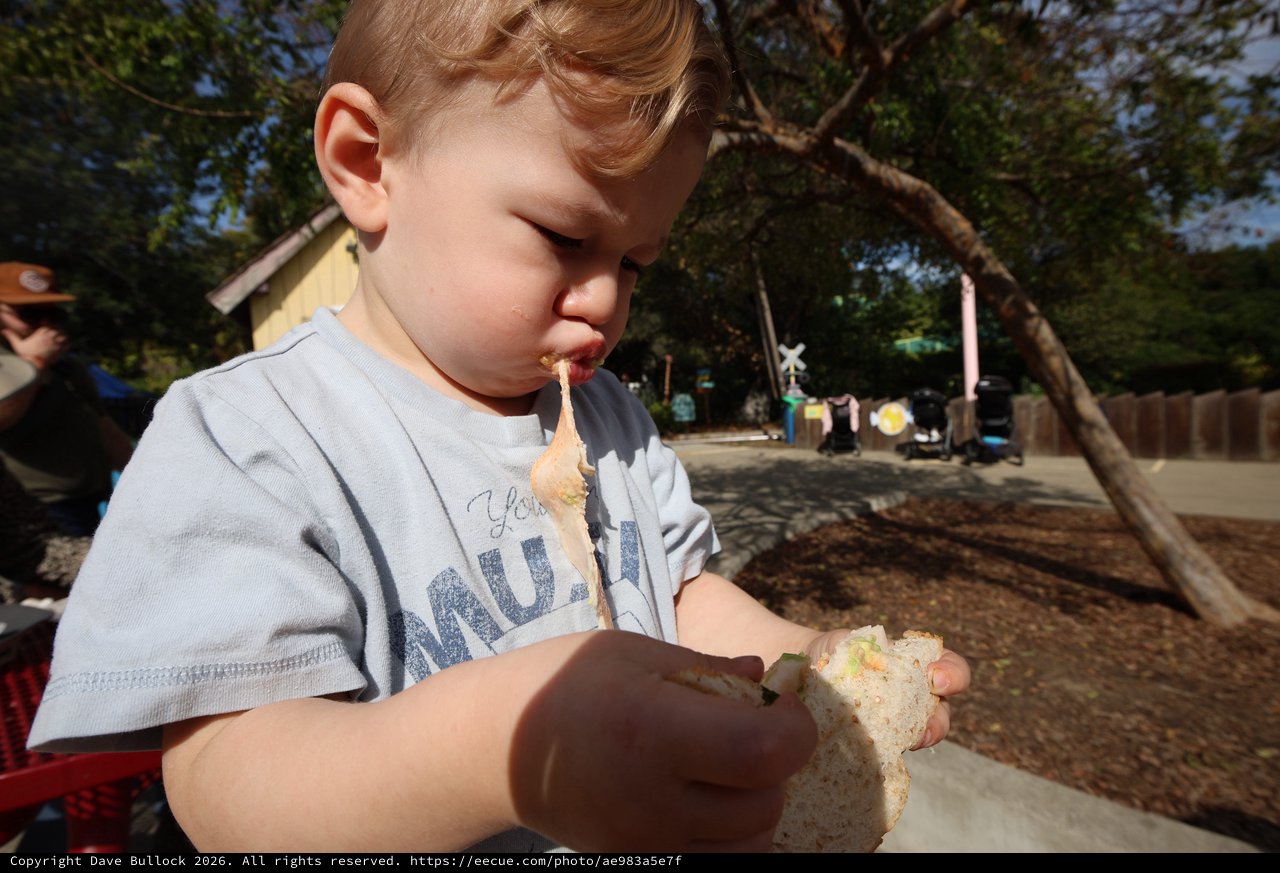 Young Boy Enjoying Sandwich at Outdoor Park