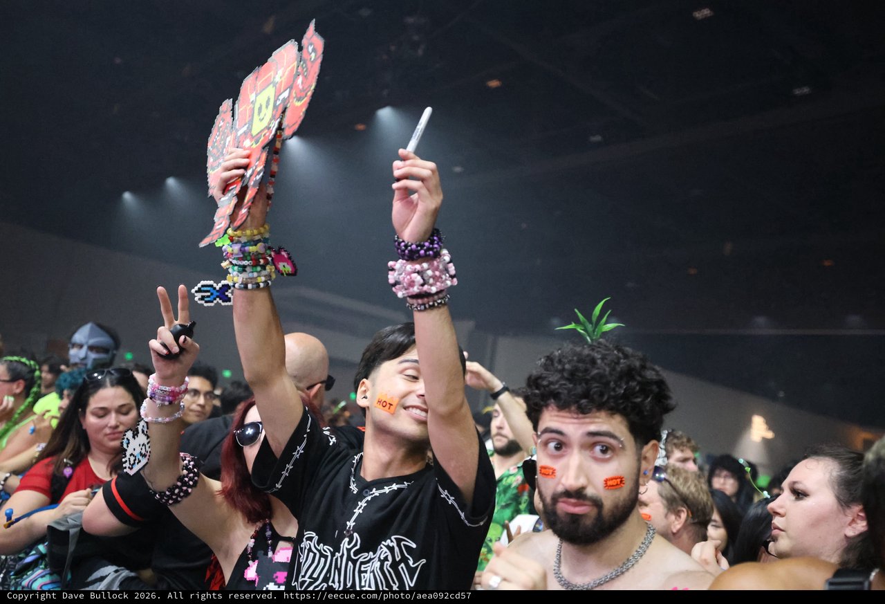 Ravers Celebrate at Wobbleland 2026 Festival