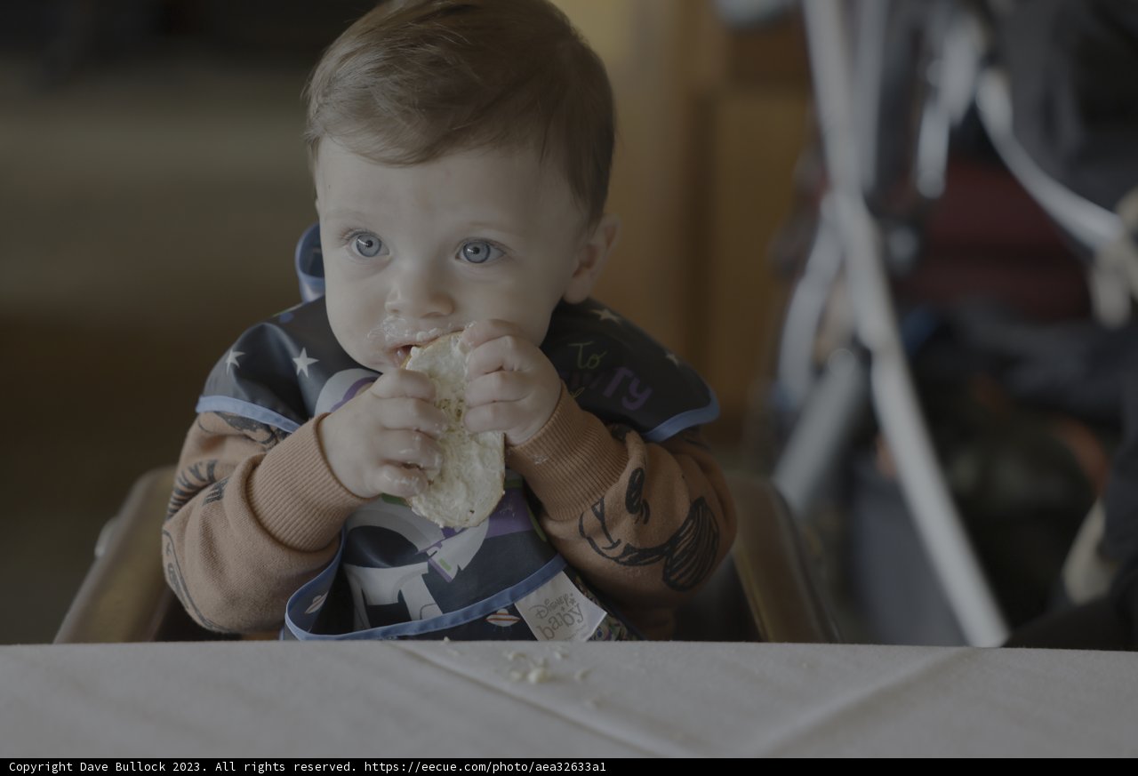 Baby's First Sandwich
