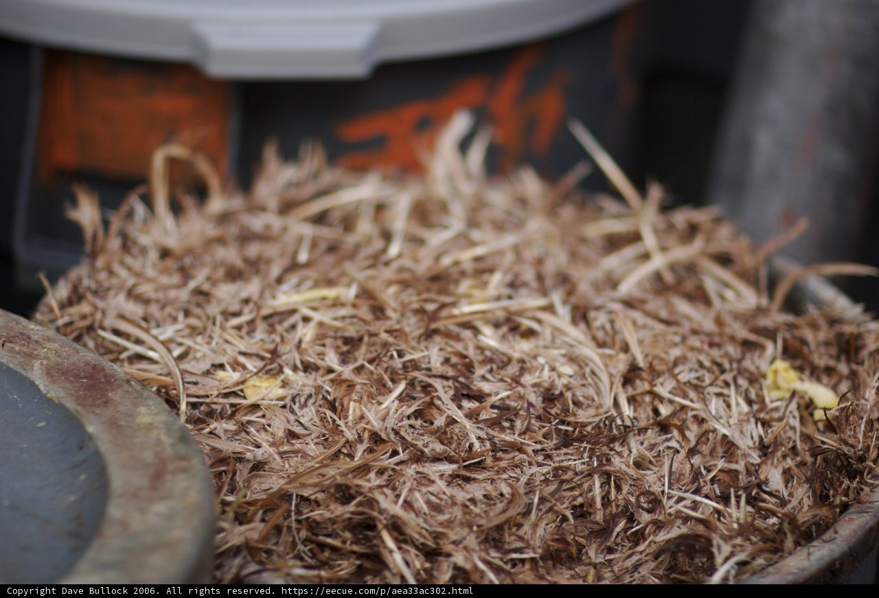 Harvest of Bean Sprouts