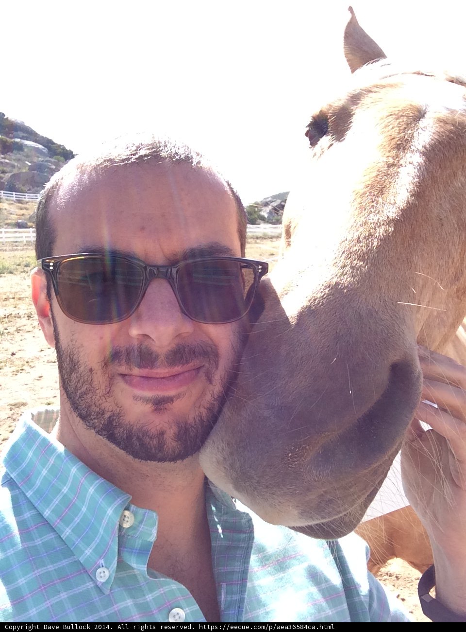 Dave B and His Majestic Horse