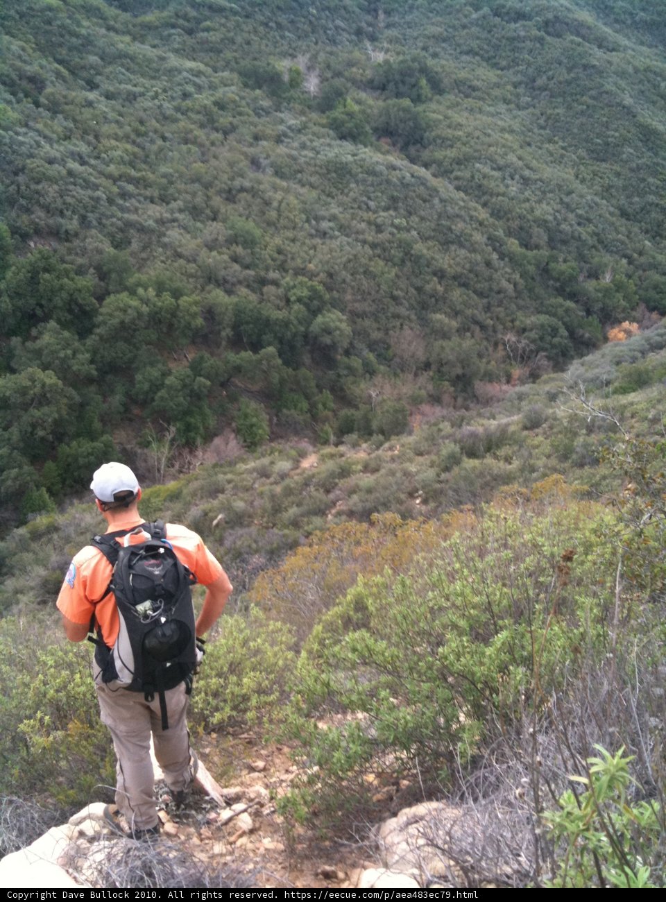 Rocky Trail Adventure