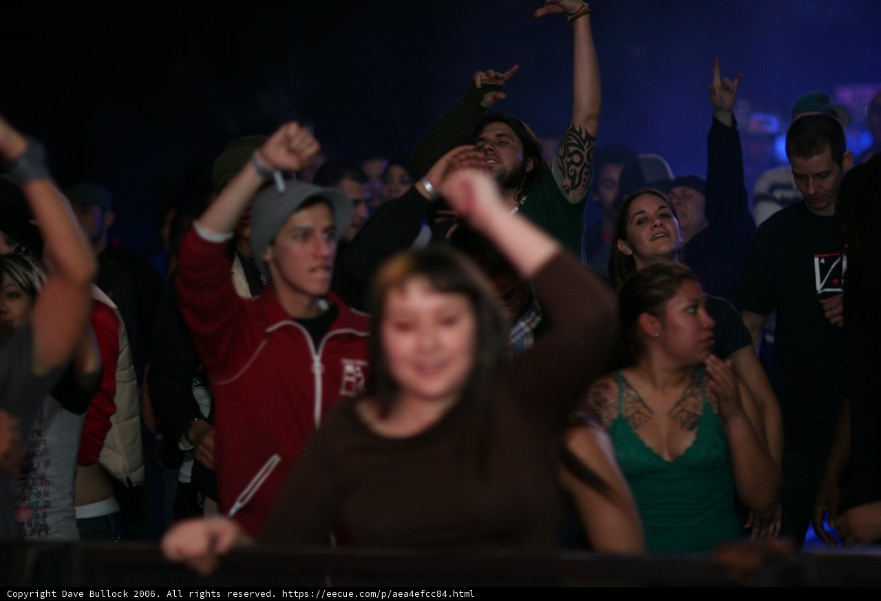 Hands Up in the Night Club
