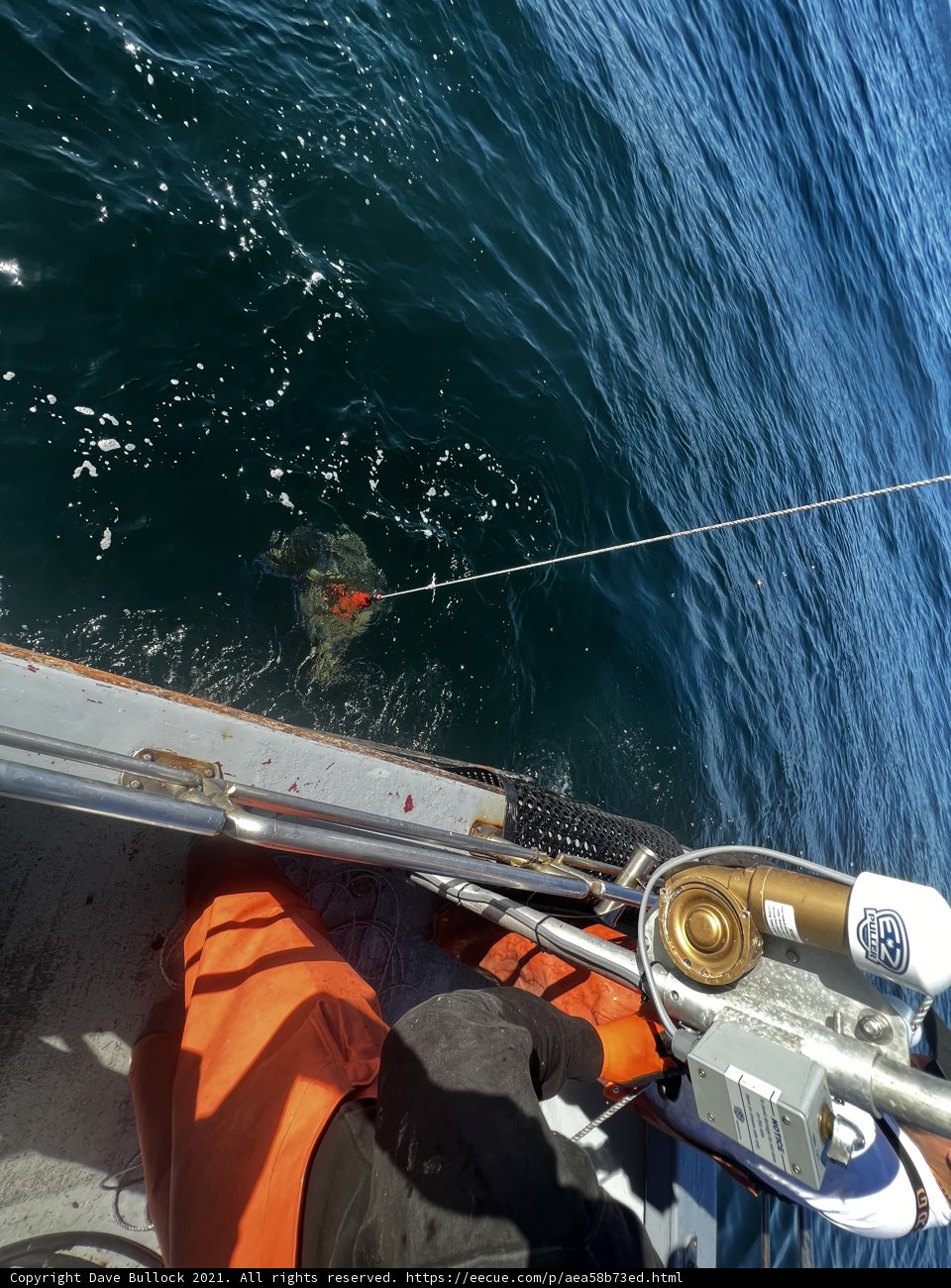 Fishing on a Sailboat