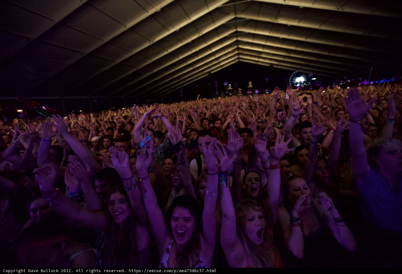 Electric Night at Coachella