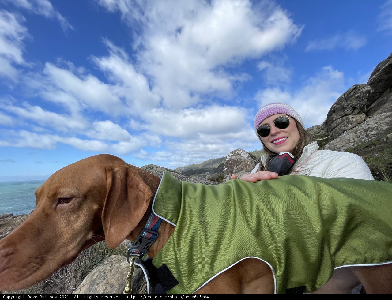 Outdoor Adventure with Vizsla Companion