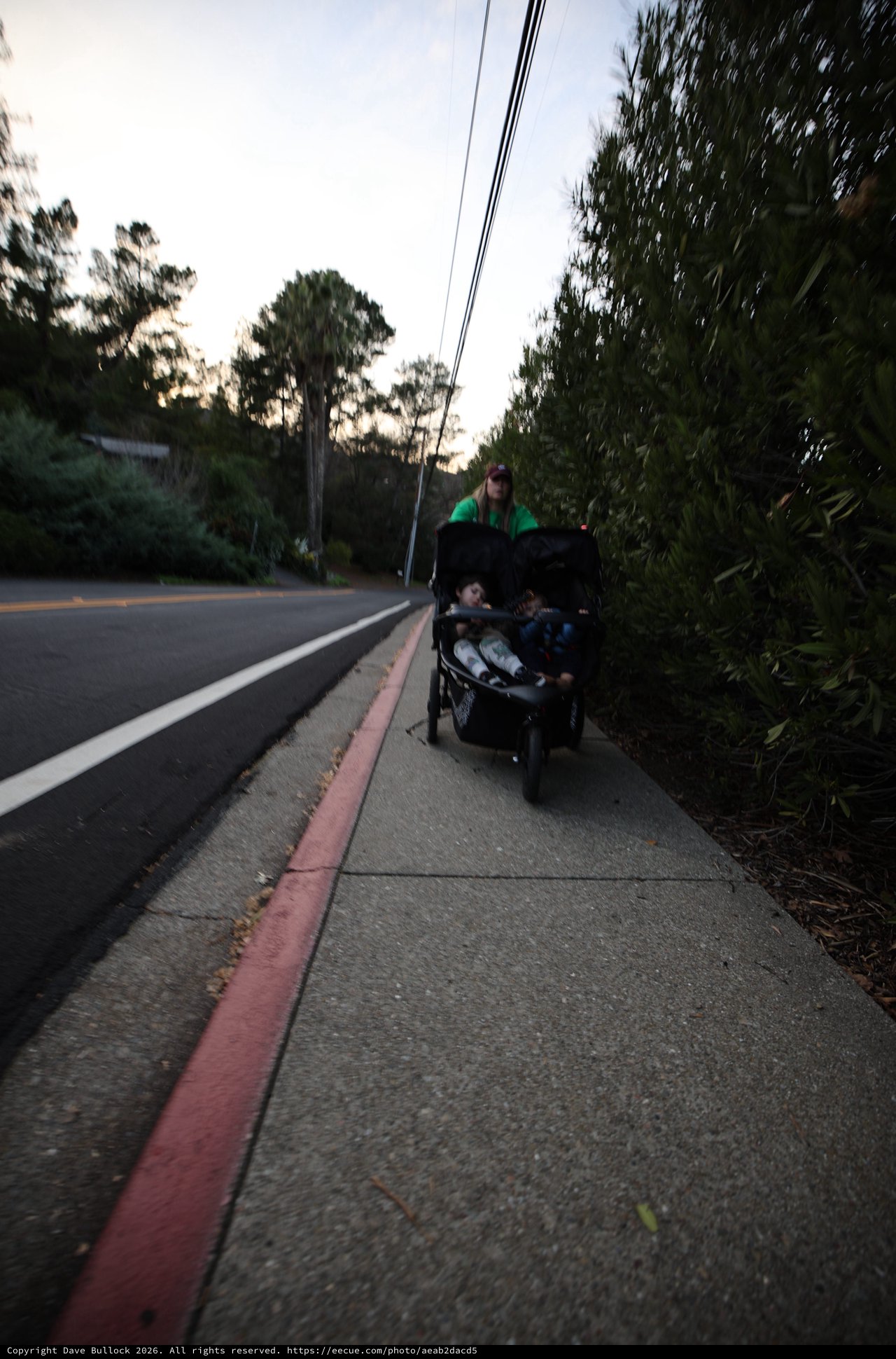 Evening Stroller Walk Along Suburban Sidewalk
