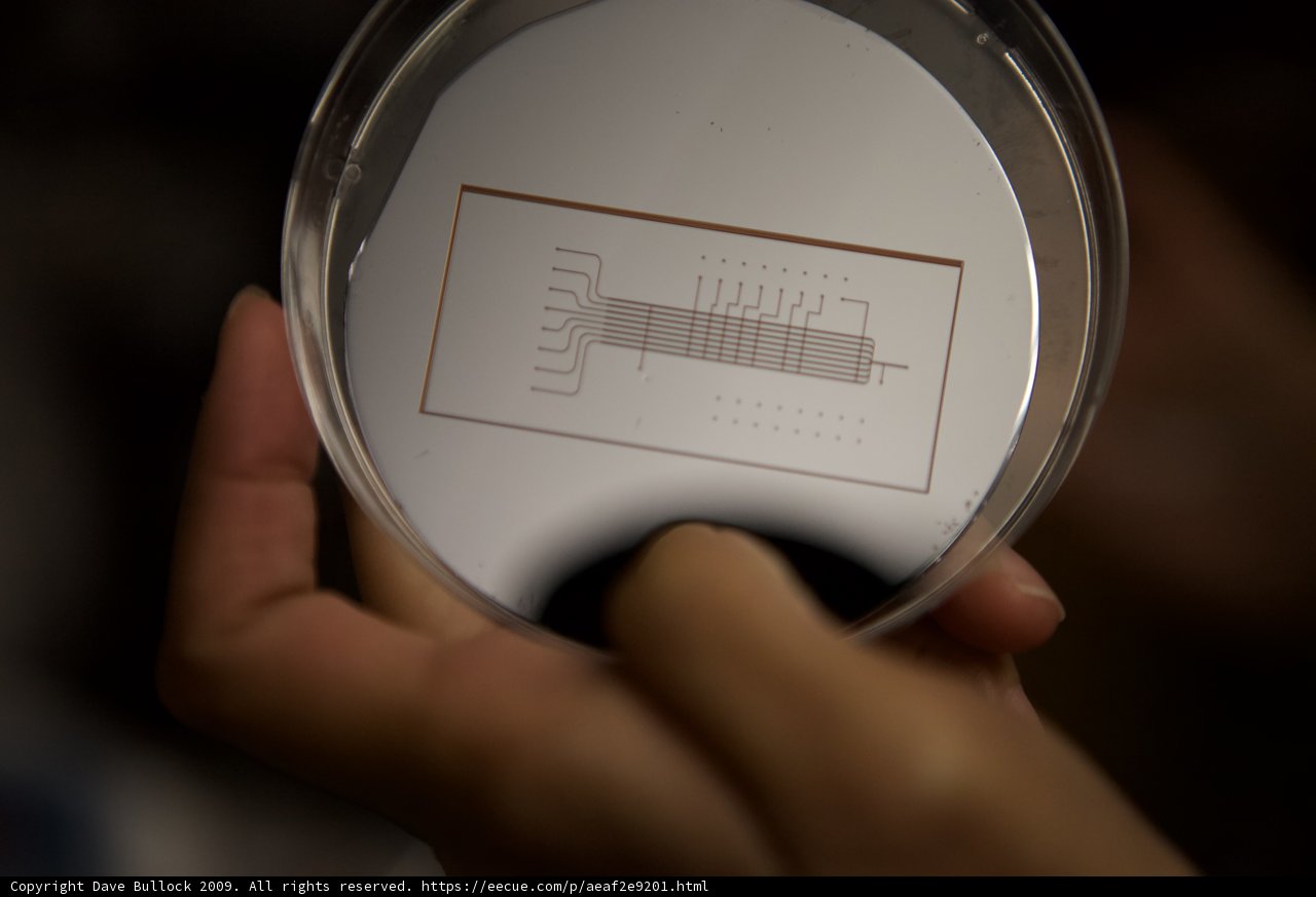 Examining the micro bio chip
