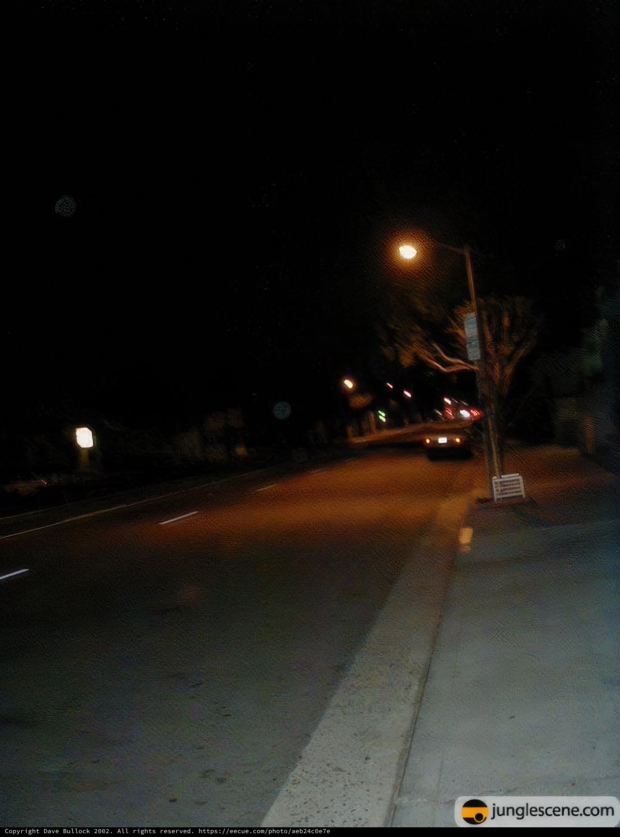 City Lights