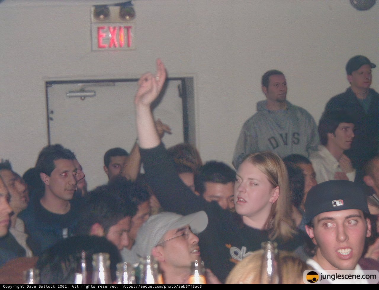 Hand in the Air