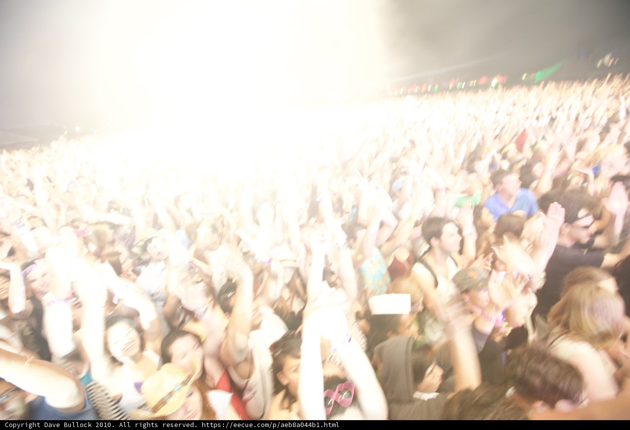 Partygoers at 2010 Coachella Concert
